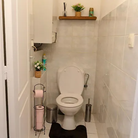 Duplex Proche Centre Ville De Colmar 아파트 콜마