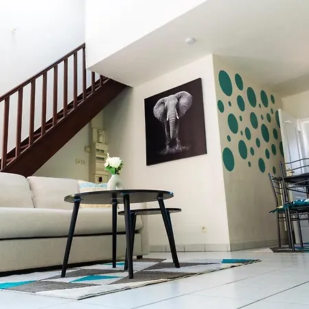 Duplex Proche Centre Ville De Colmar * 콜마