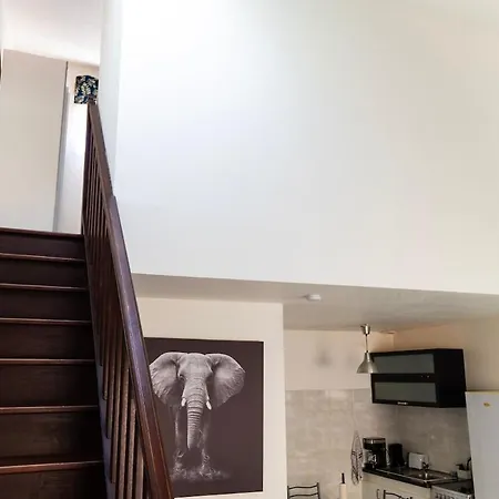 Duplex Proche Centre Ville De Colmar * 콜마