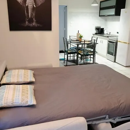 Duplex Proche Centre Ville De Colmar 아파트 *